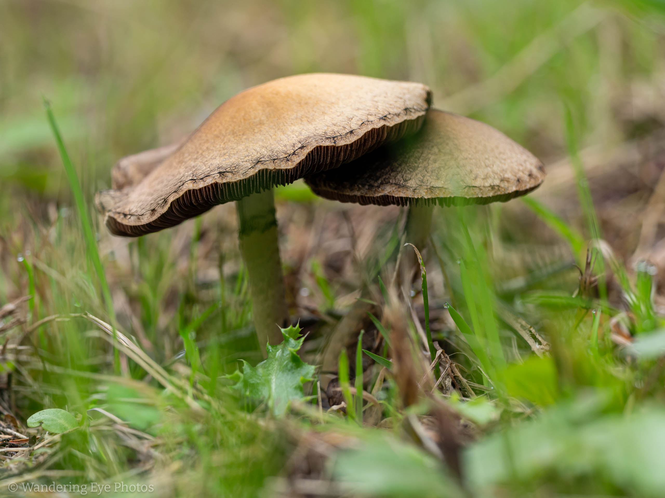 10.17 12.41.13   PA170837